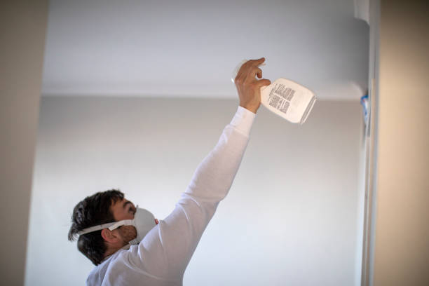Best Professional Mold Removal  in Royal Pines, NC