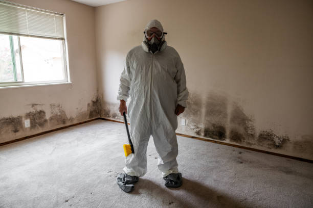 Best Mold Removal Company Near Me  in Royal Pines, NC